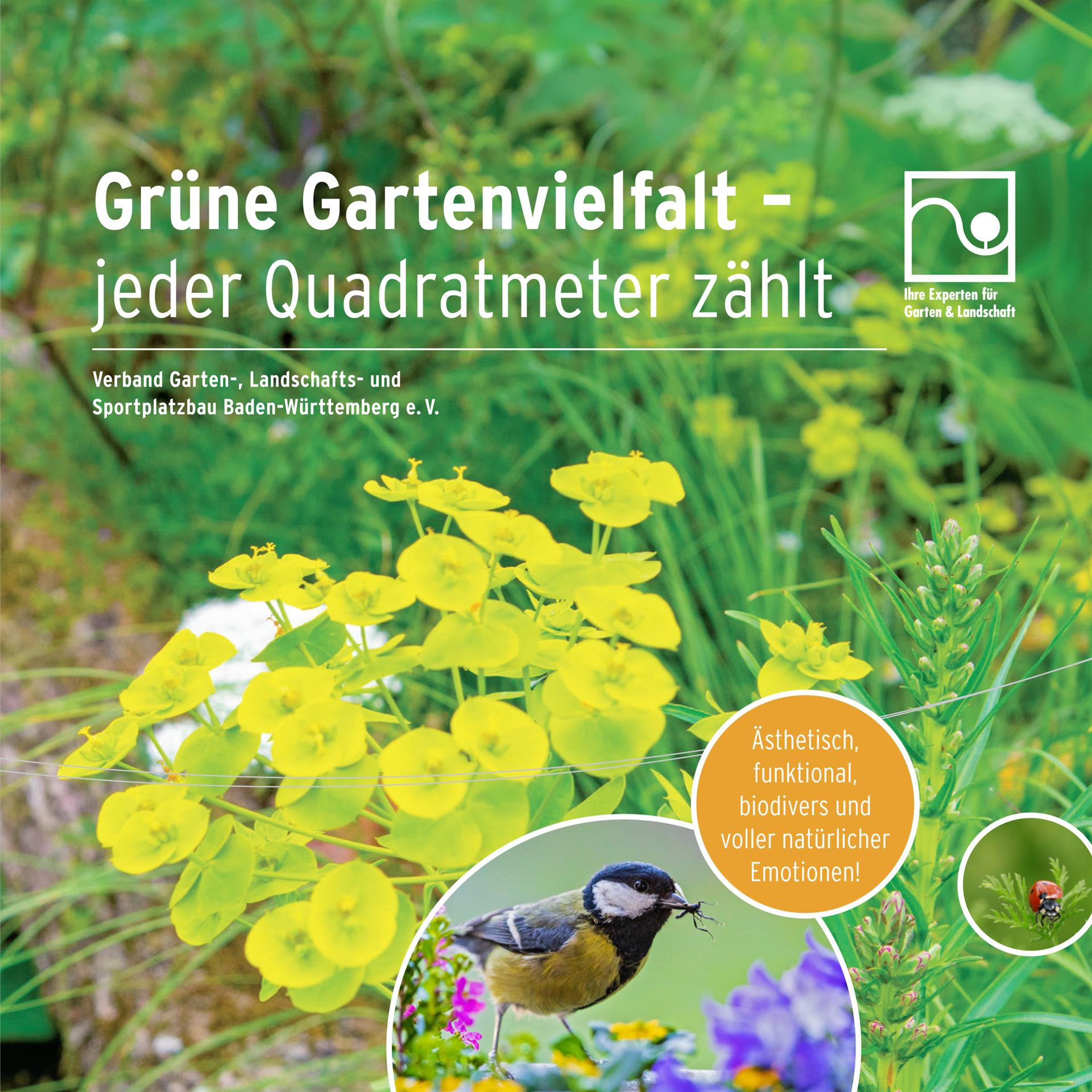 Broschüre Grüne Gartenvielfalt – jeder Quadratmeter zählt