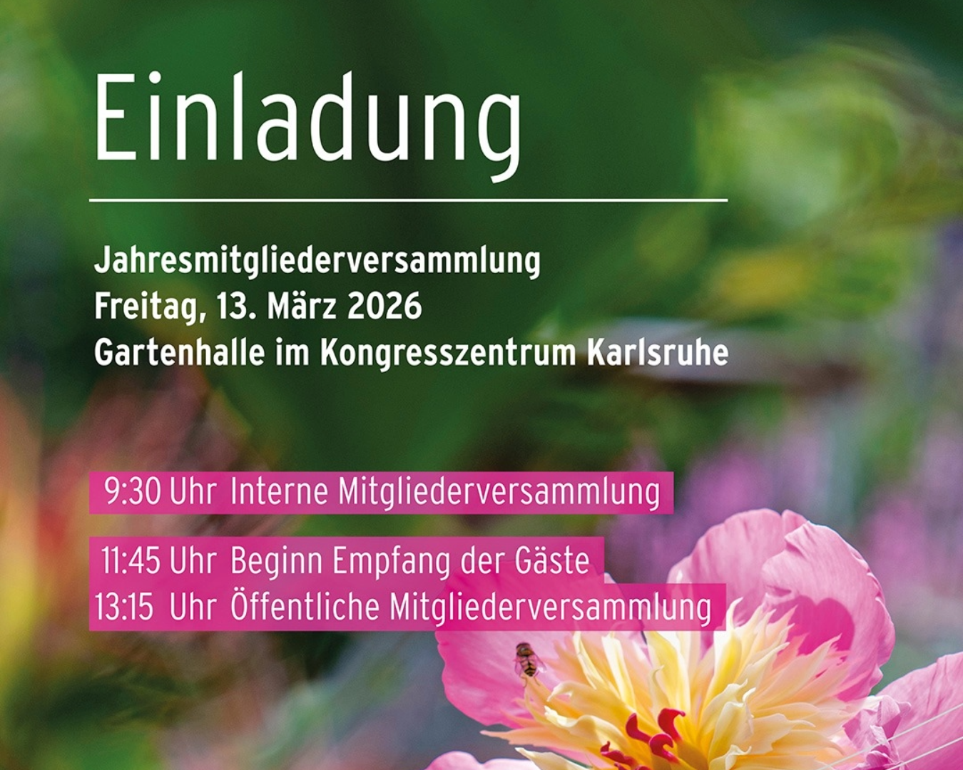 Mitgliederversammlung 2026